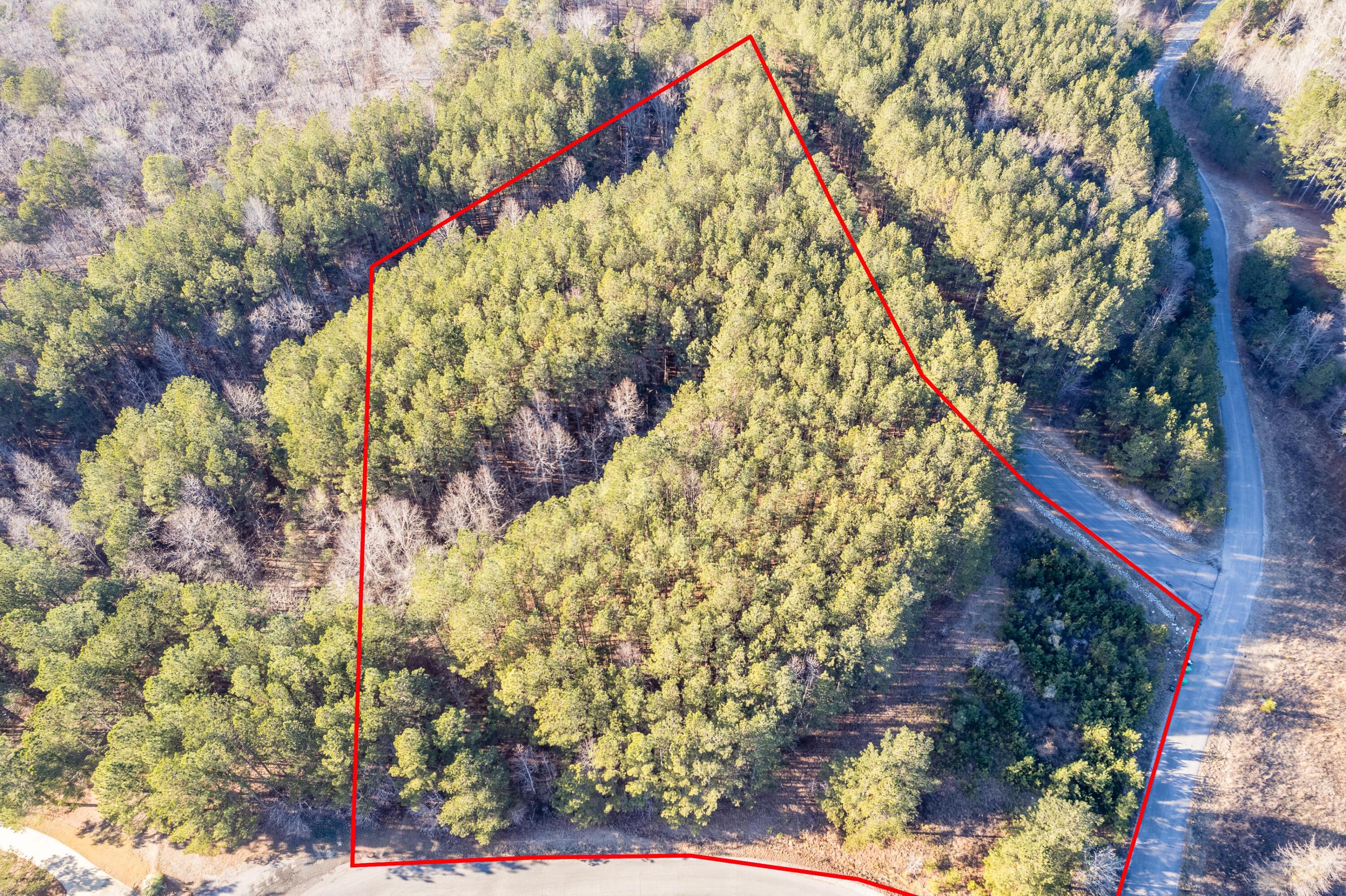 Image 4: Aerial Lot Lines