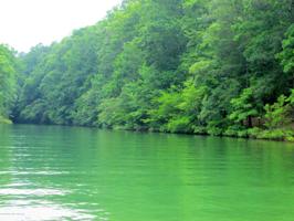 SMITH LAKE DAM ROAD