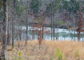 241 COUNTY ROAD 207