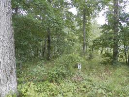 LOT #12 OAK Ln