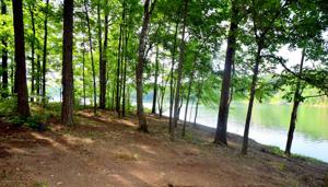 LOT 42 THE COVES AT CROOKED CREEK