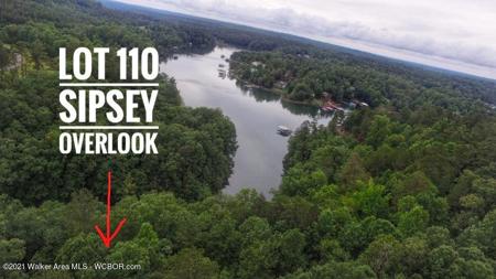 LOT 110 SIPSEY OVERLOOK Dr