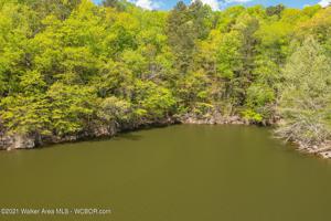 LOTS 8-12 LAKESHORE ACRES