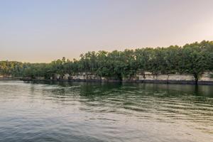 LOT 43 POINTE SIXTEEN