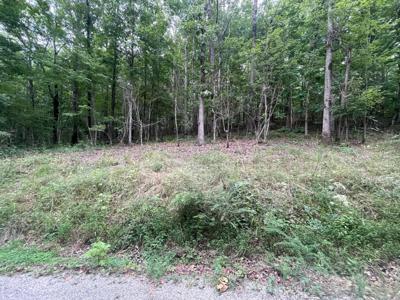 LOT 18 GREEK ESTATES