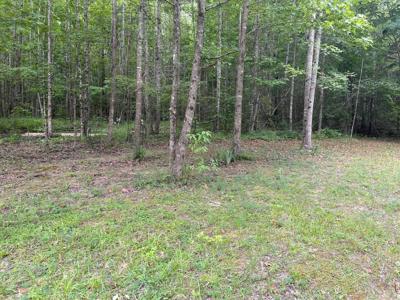 LOT 19 GREEK ESTATES