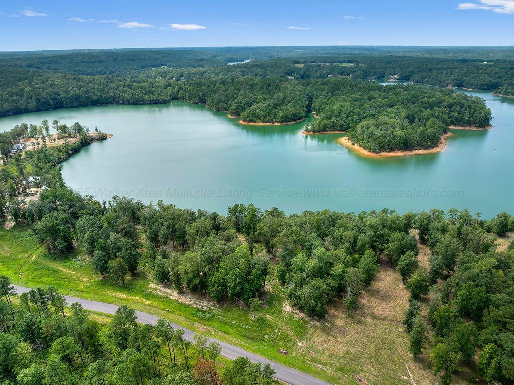 Image 1: DJI_20250826135242_0109_D-5-Edit-2-3