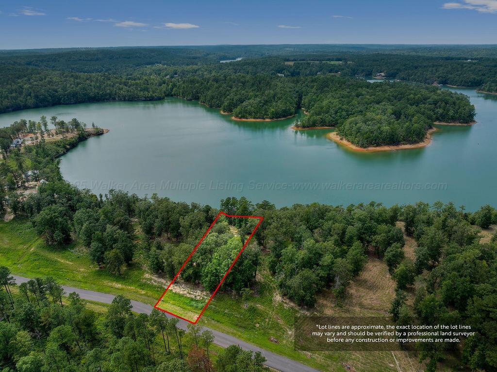 Image 2: DJI_20250826135242_0109_D-5-Edit-Edit-2