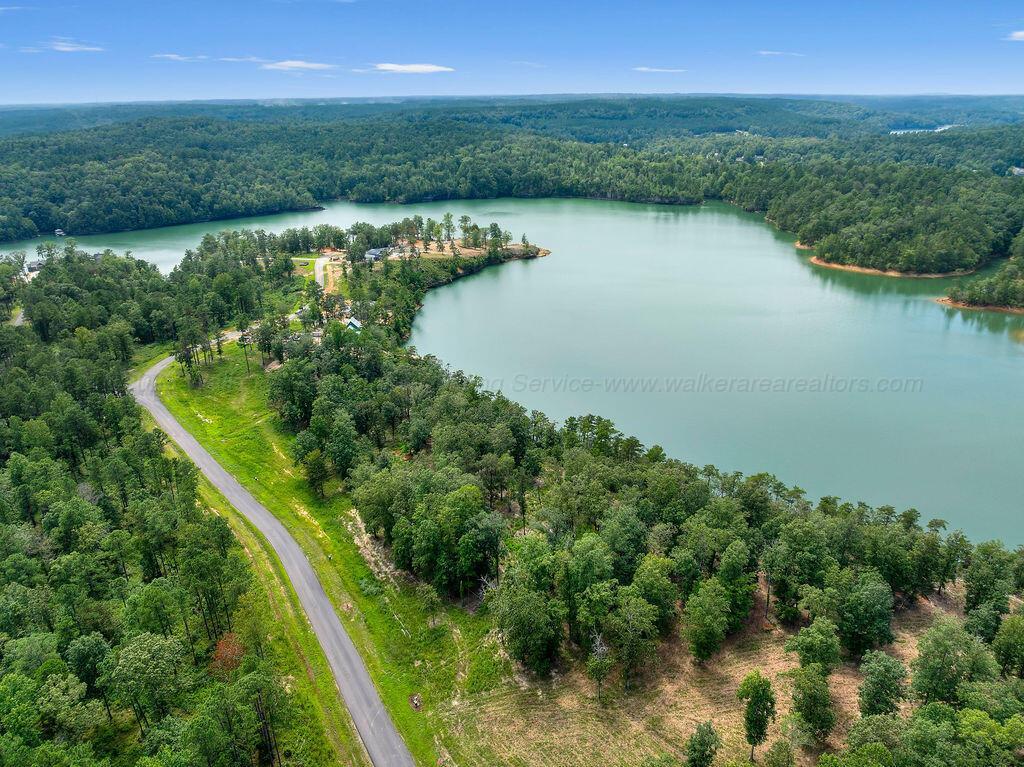 Image 3: DJI_20250826135257_0111_D-7-Edit-4