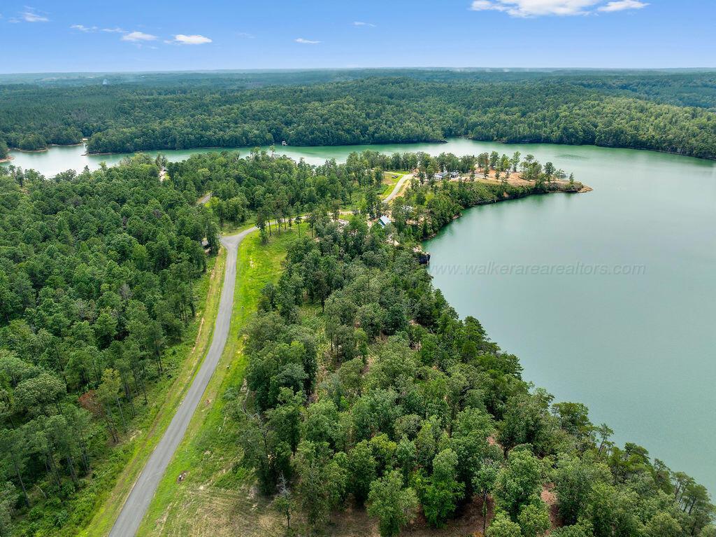 Image 4: DJI_20250826135314_0114_D-10-Edit-5