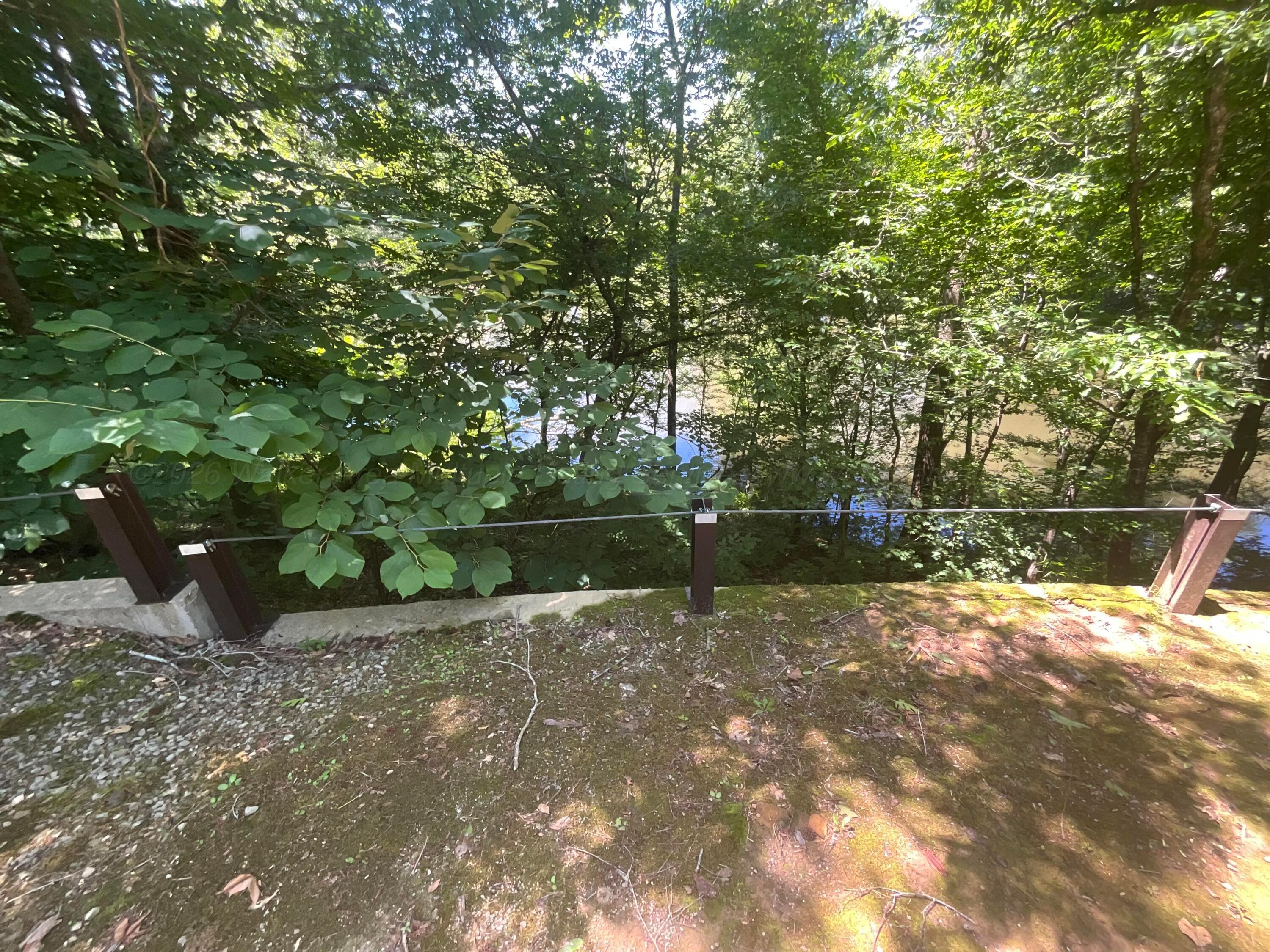 Image 2: IMG_0450