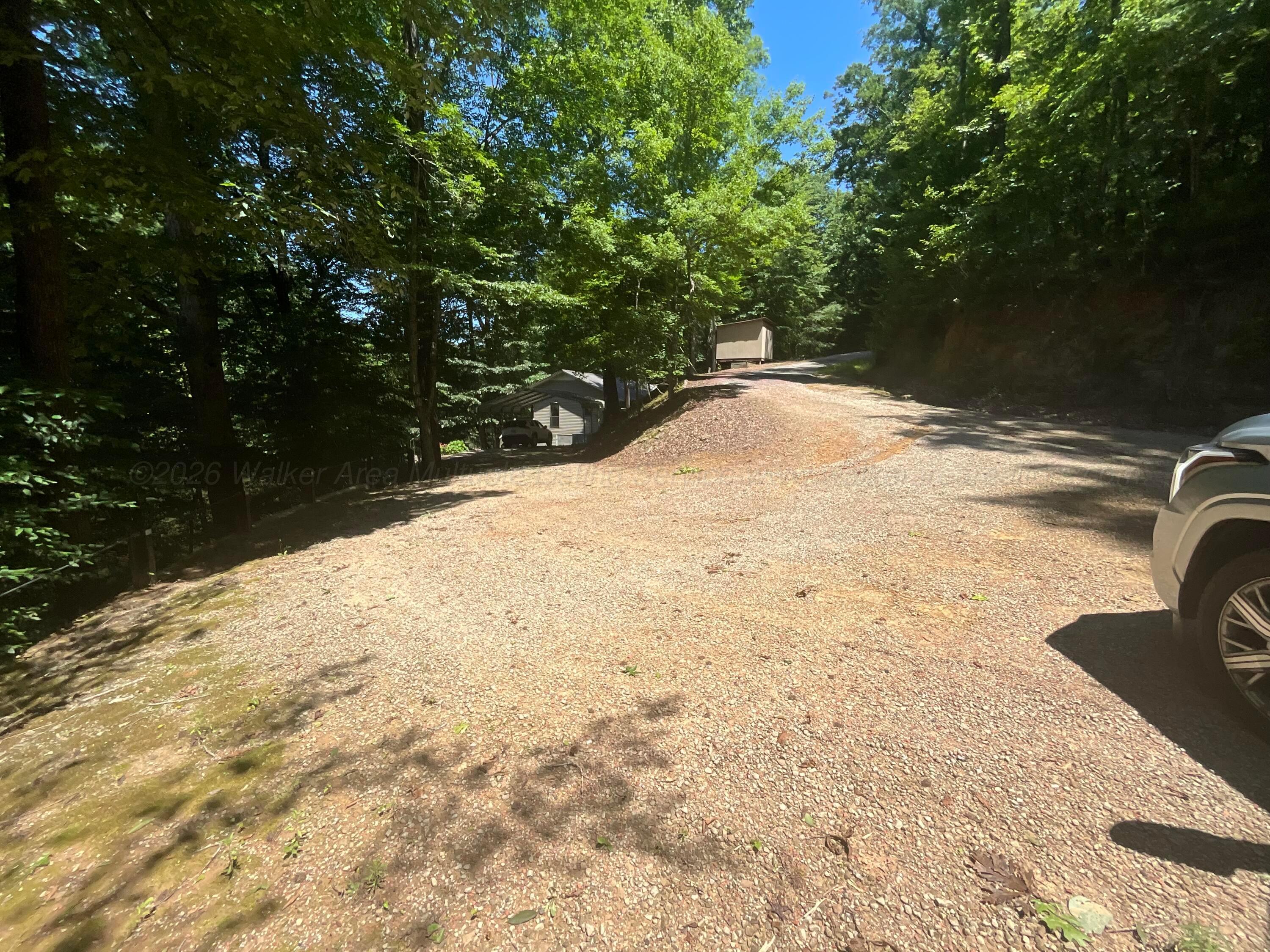 Image 3: IMG_0449
