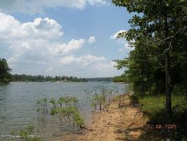 LOT 5 CR 181