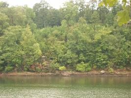 TRACT 4 CO RD 3902