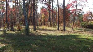 LOT # 56 BRUSHY CREEK POINT