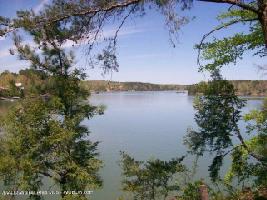 LOT #43 BRUSHY CREEK MAIN