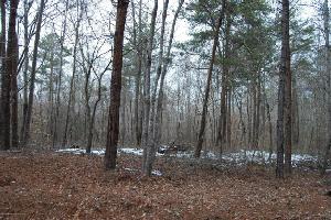 COUNTY ROAD 376