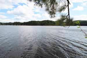LOT 1 COUNTY ROAD 301