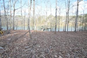52 WILDERNESS LANE