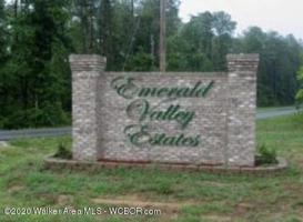 LOT 41 EMERALD VALLEY ESTATES