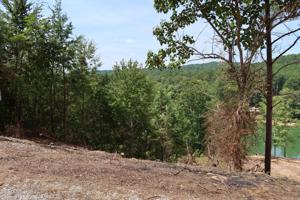 LOT 70 EMERALD VALLEY ESTATES