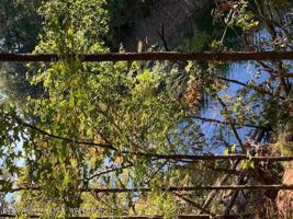 LOT 4 CLEAR WATER COVES