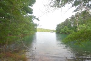 LOT 29 BANKHEAD POINTE