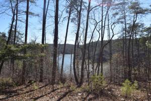 LOT 21 THE RETREAT AT HIDDEN FALLS
