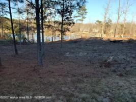 LOT 79 SIPSEY OVERLOOK