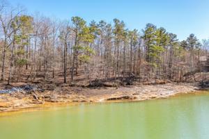LOT 133 STONEY POINTE