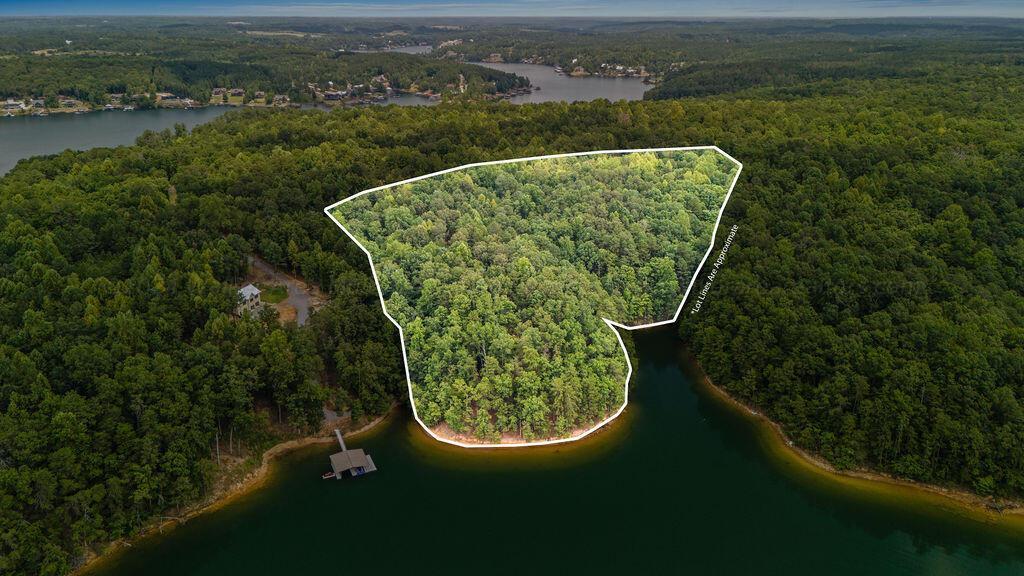 Image 4: DJI_20240715122315_0009_D-Edit-Edit