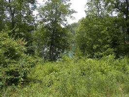 LOT #11 OAK Ln