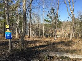 LOT #41 BRUSHY Ln
