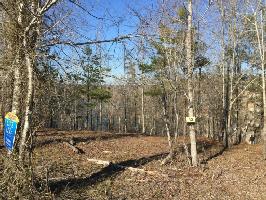 LOT #42 BRUSHY Ln
