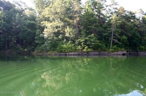 LOT 17 COUNT ROAD 204