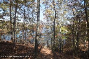 LOT 13 THE BLUFFS AT BRUSHY POND