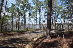 LOT 6 SWANN ESTATES
