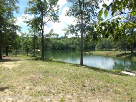 938 ARLEY LANDING Dr