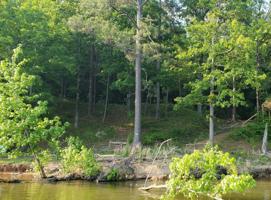 LOT 23 CO RD 106
