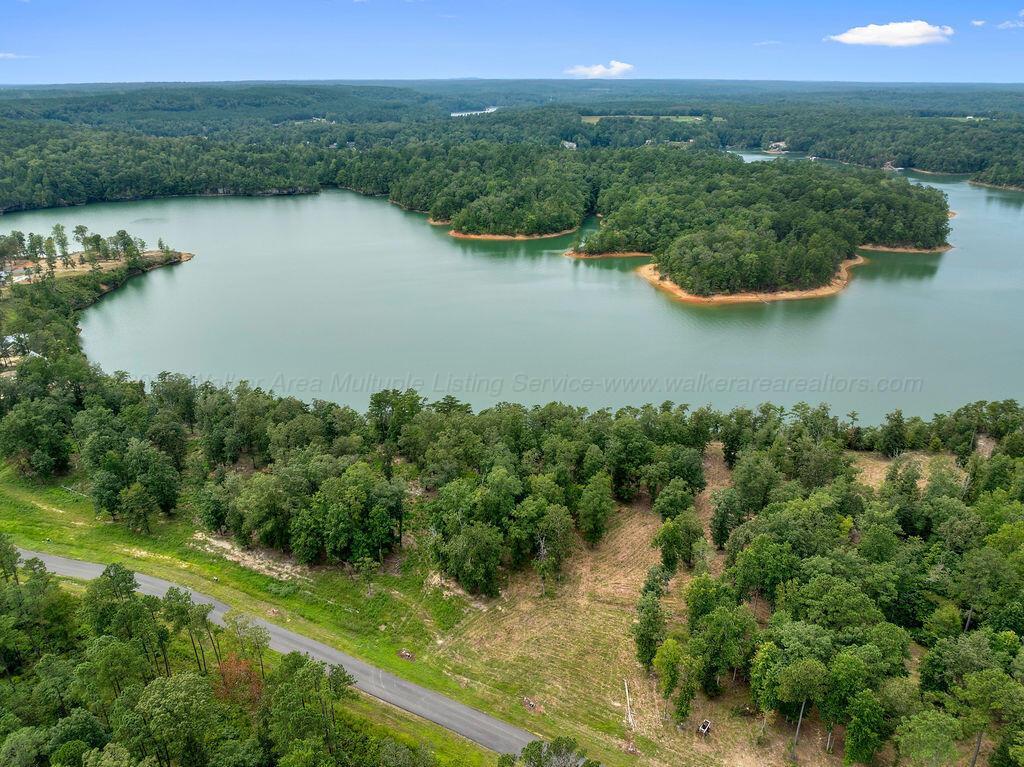 Image 1: DJI_20250826134130_0019_D-5-Edit-2-3