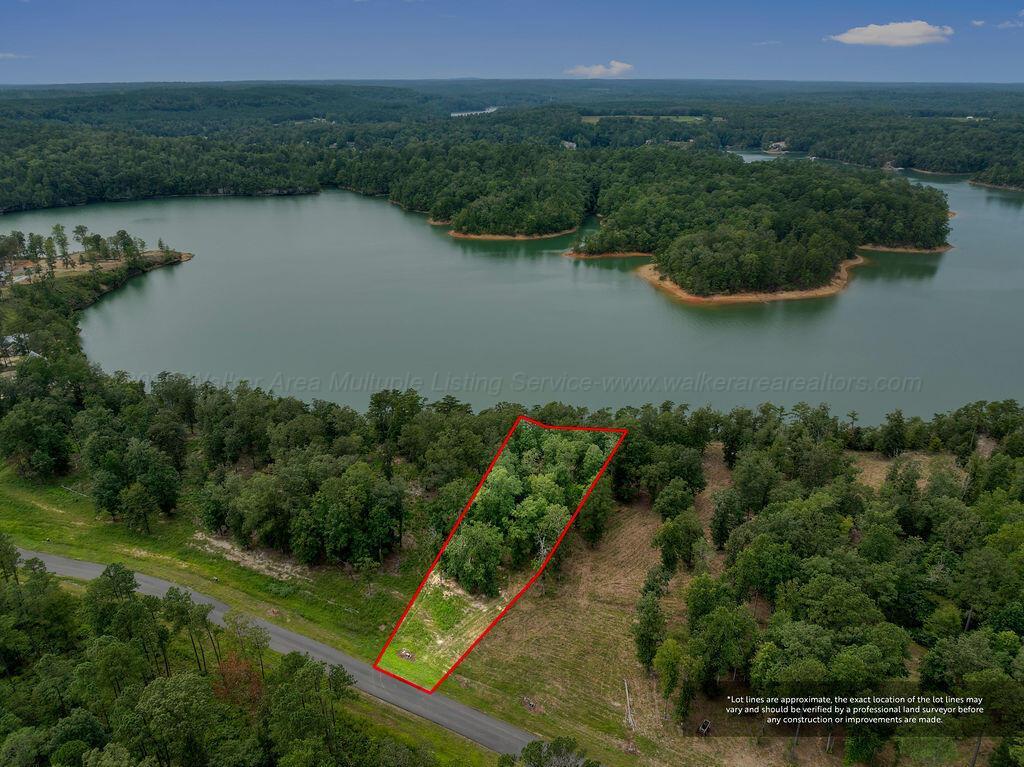 Image 2: DJI_20250826134130_0019_D-5-Edit-Edit-2