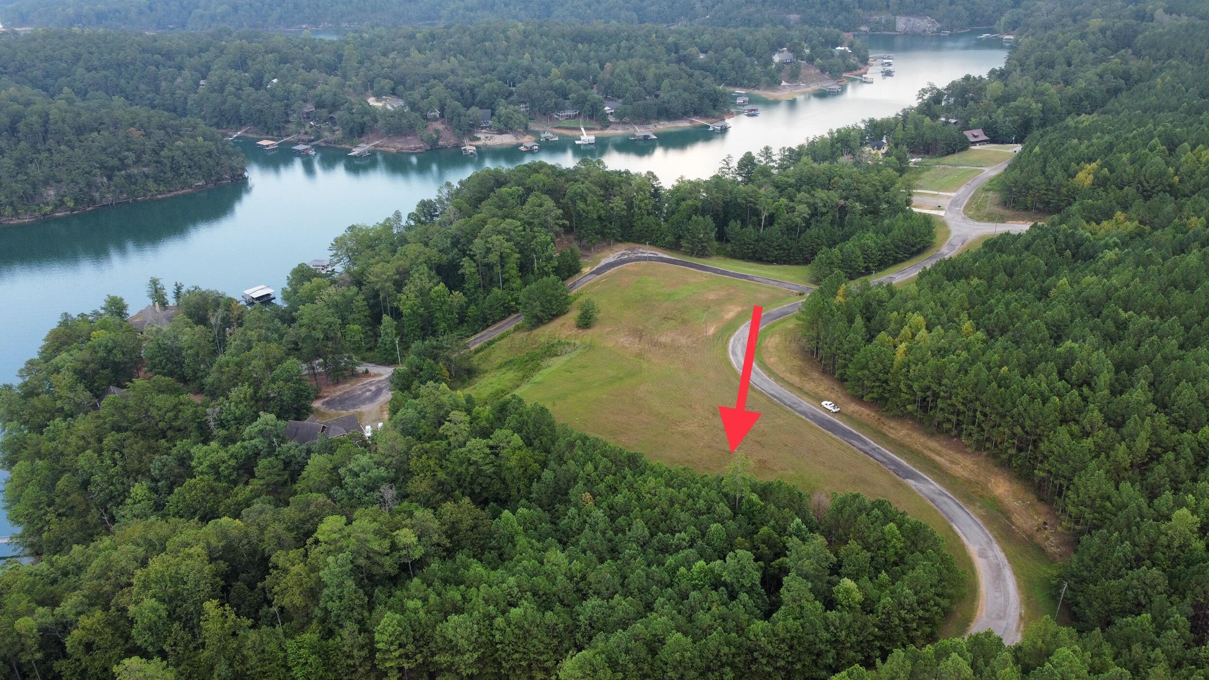 Image 4: Aerial