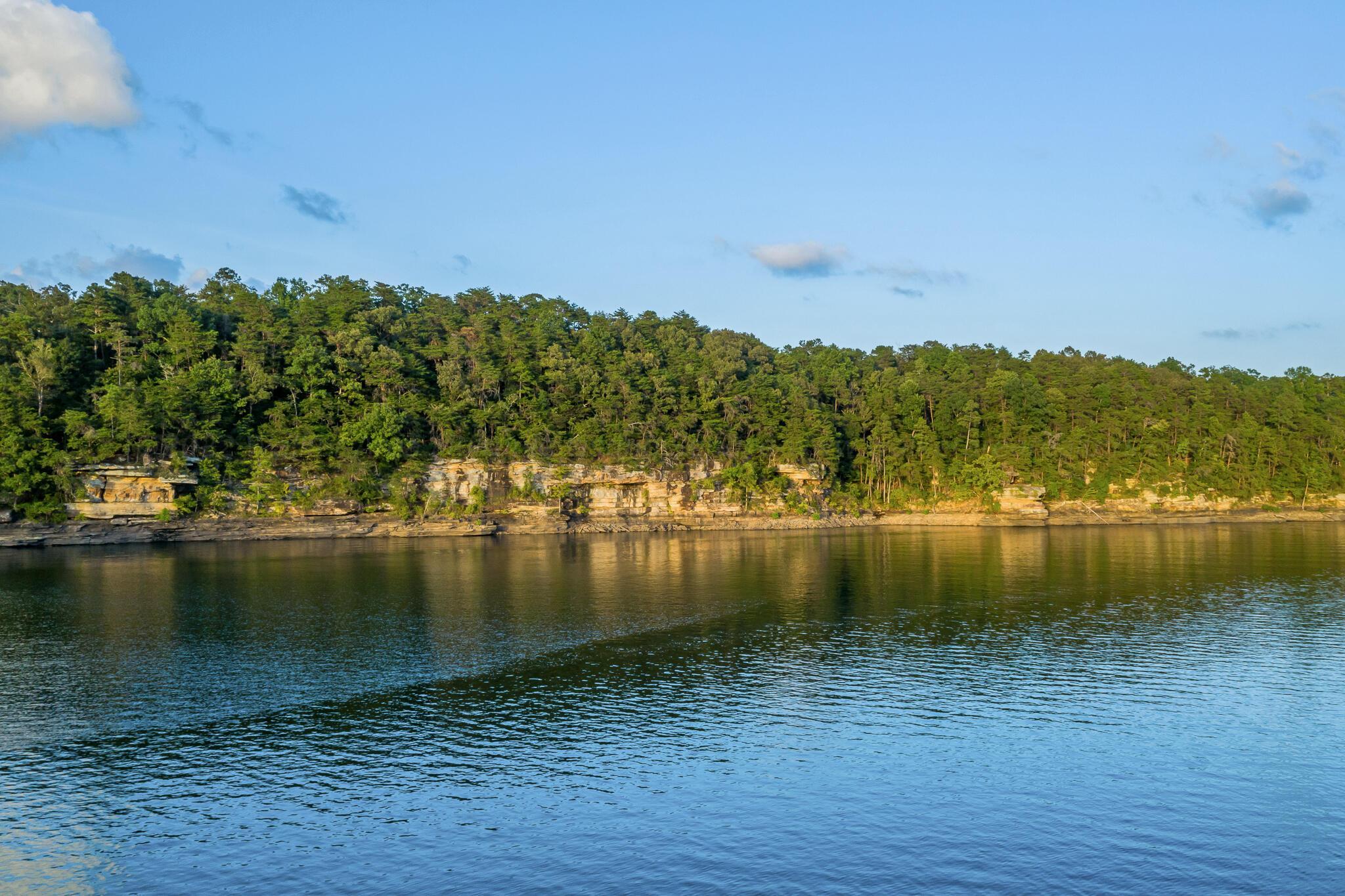 Image 1: Lot 29