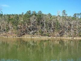 62 COUNTY ROAD 3966