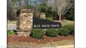 LOT 25 BLUE WATER POINTE DR