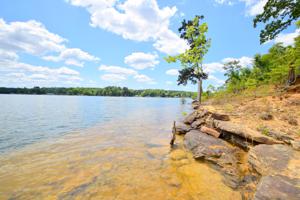LOT 20 SIPSEY PINES