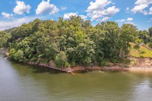 LOT 16&17 COUNTY ROAD 135
