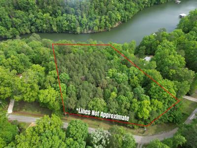 536 COUNTY ROAD 3902