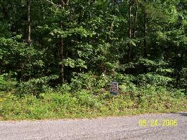 LOT 11 WESTERN Dr