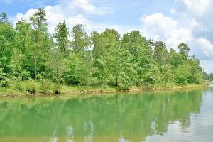LOT 96 STONEY POINTE
